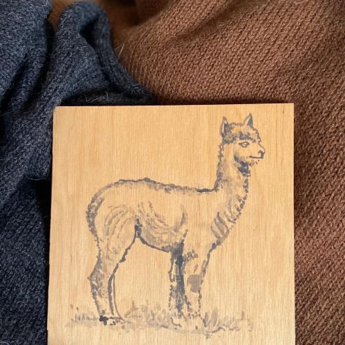 Alpaka skarb Andów.